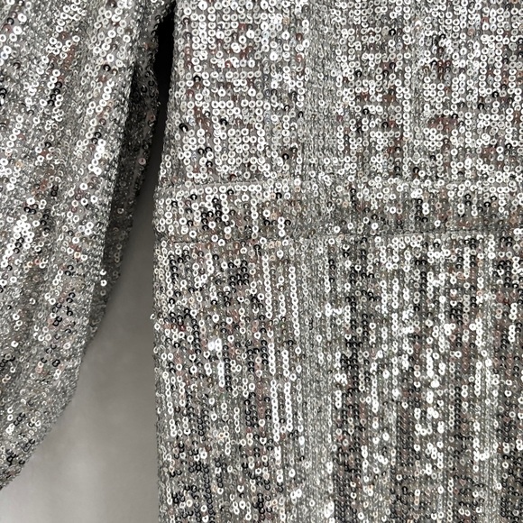 Emerson Fry Shimmering Silver Midi Dress - Picture 13 of 13